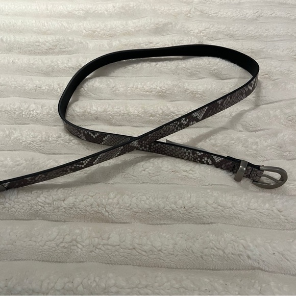 Snakeskin Belt - Picture 1 of 3
